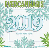 EVERCANNABIS January 2019