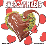 EVERCANNABIS February 2019